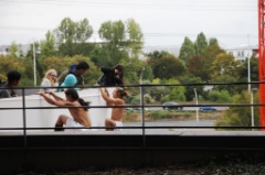 Ligne de vie 17 * 5616 x 3744 * (5.18MB)